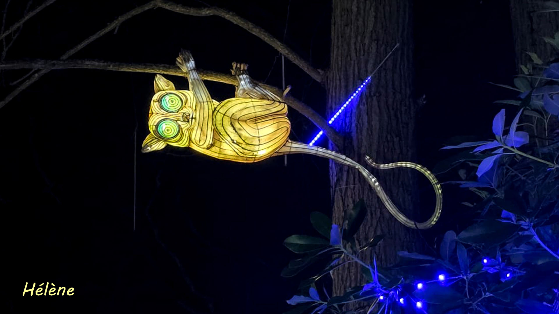 THOIRY -Illumination ,  Lumières sauvages 2025-2026